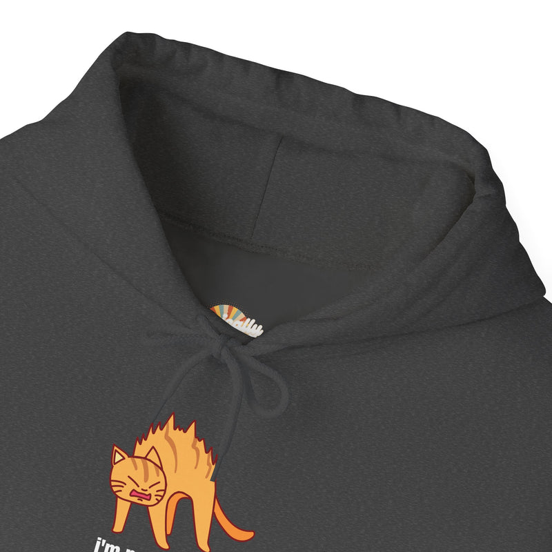 Sassy Cat Hoodie — "I’m not as mean as I could be..." Hooded Sweatshirt