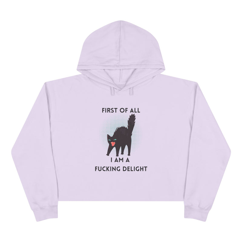 Graphic Black Cat Hooded Sweatshirt - "I am a Fucking Delight" Crop Hoodie