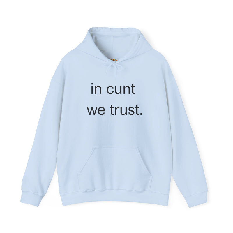 Hoodie — "in cunt we trust." Minimalist Provocative Text Hooded Sweatshirt