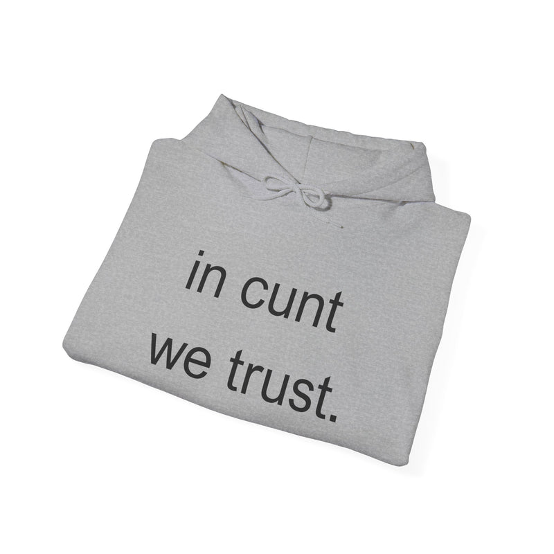 Hoodie — "in cunt we trust." Minimalist Provocative Text Hooded Sweatshirt