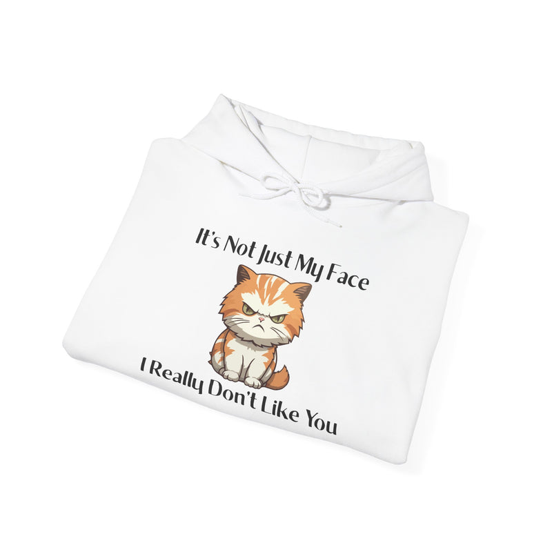 Sassy Cat Hoodie — "It's Not Just My Face, I Really Don't Like You"Graphic Hooded Sweatshirt