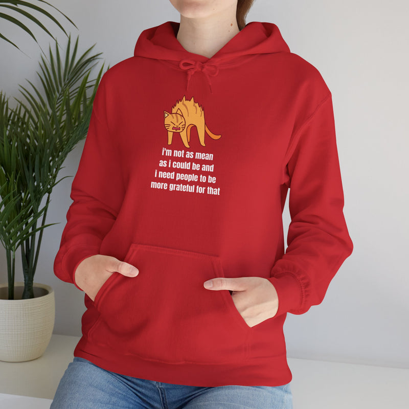 Sassy Cat Hoodie — "I’m not as mean as I could be..." Hooded Sweatshirt