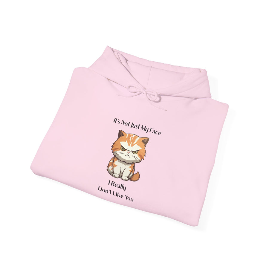 Sassy Cat Hoodie — It's Not Just My Face Graphic Hooded Sweatshirt