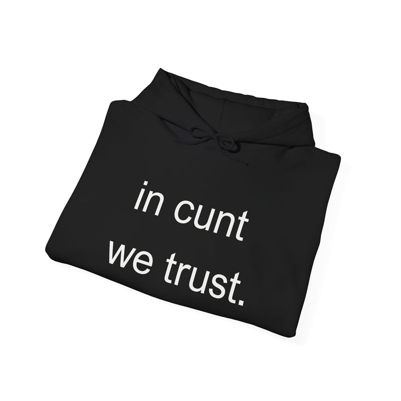 Hoodie — "in cunt we trust." Minimalist Provocative Text Hooded Sweatshirt