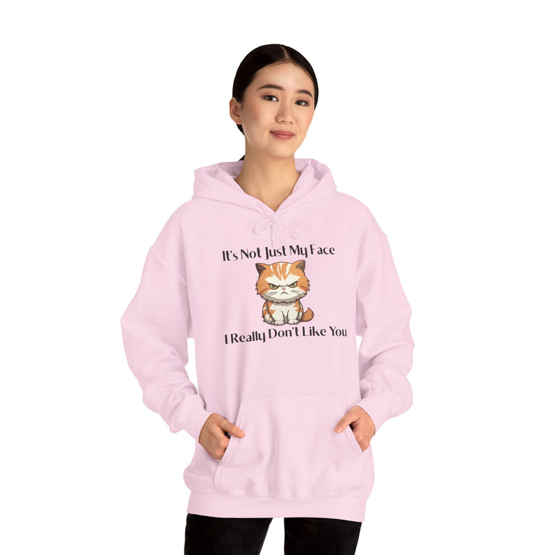 Sassy Cat Hoodie — "It's Not Just My Face, I Really Don't Like You"Graphic Hooded Sweatshirt