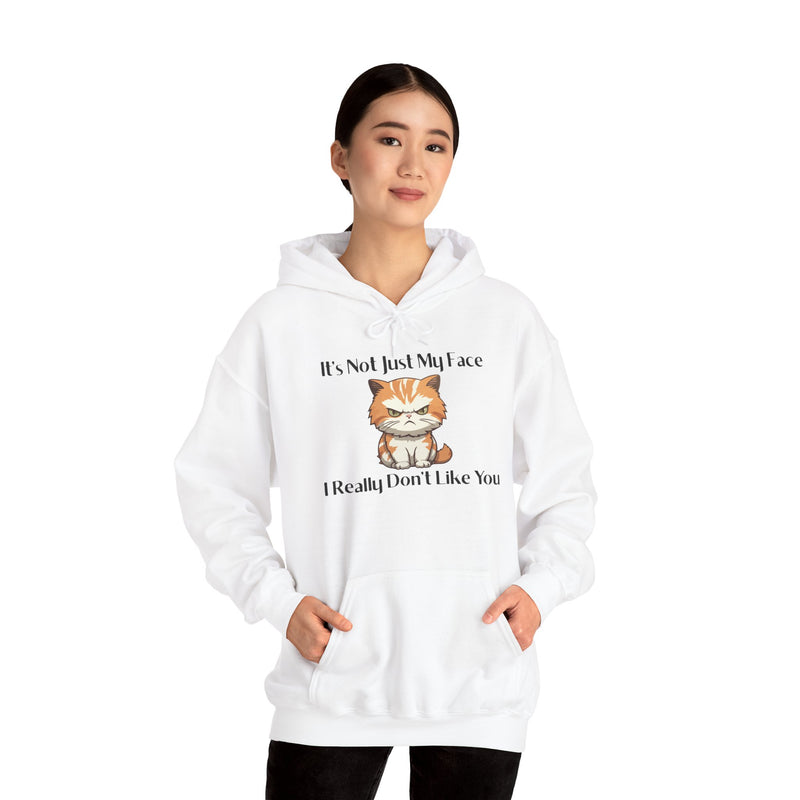 Sassy Cat Hoodie — "It's Not Just My Face, I Really Don't Like You"Graphic Hooded Sweatshirt
