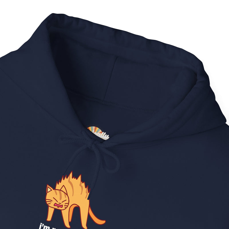 Sassy Cat Hoodie — "I’m not as mean as I could be..." Hooded Sweatshirt
