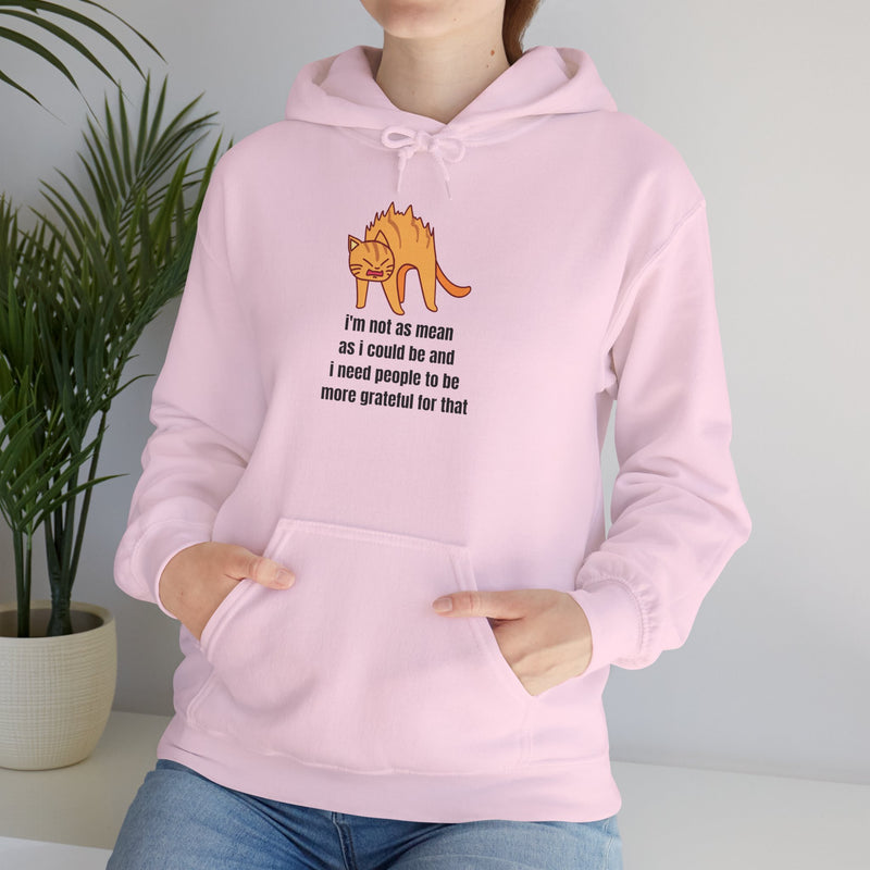 Sassy Cat Hoodie — "I’m not as mean as I could be..." Hooded Sweatshirt