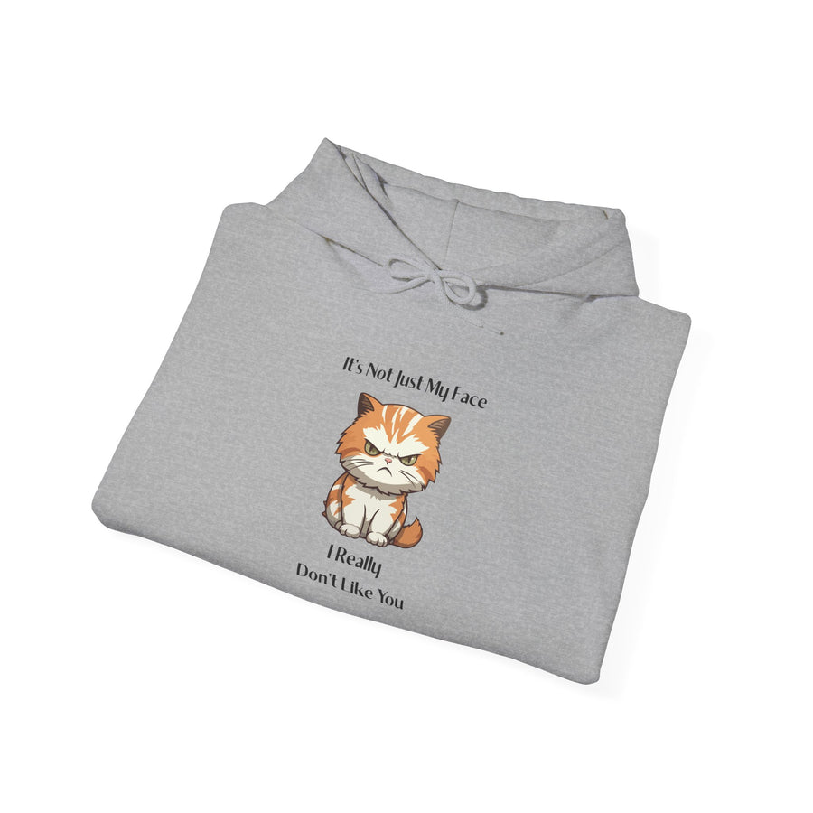 Sassy Cat Hoodie — It's Not Just My Face Graphic Hooded Sweatshirt