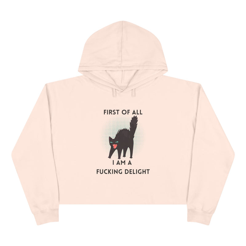 Graphic Black Cat Hooded Sweatshirt - "I am a Fucking Delight" Crop Hoodie