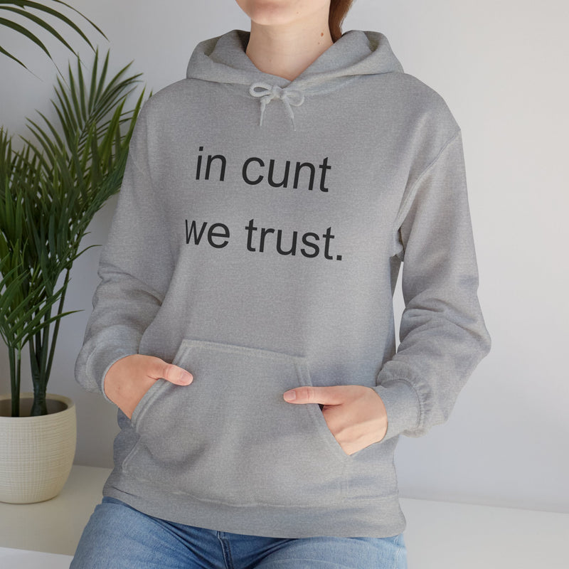 Hoodie — "in cunt we trust." Minimalist Provocative Text Hooded Sweatshirt