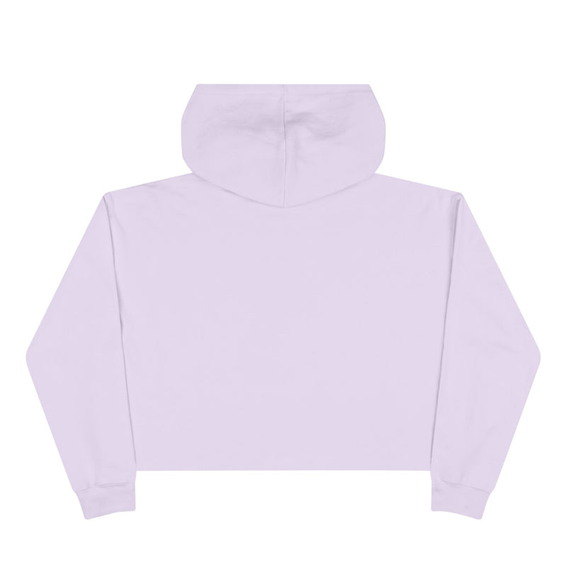Cropped Hoodie — “Anxiety is literally just conspiracy theories about ourselves” Minimal Text Hoodie