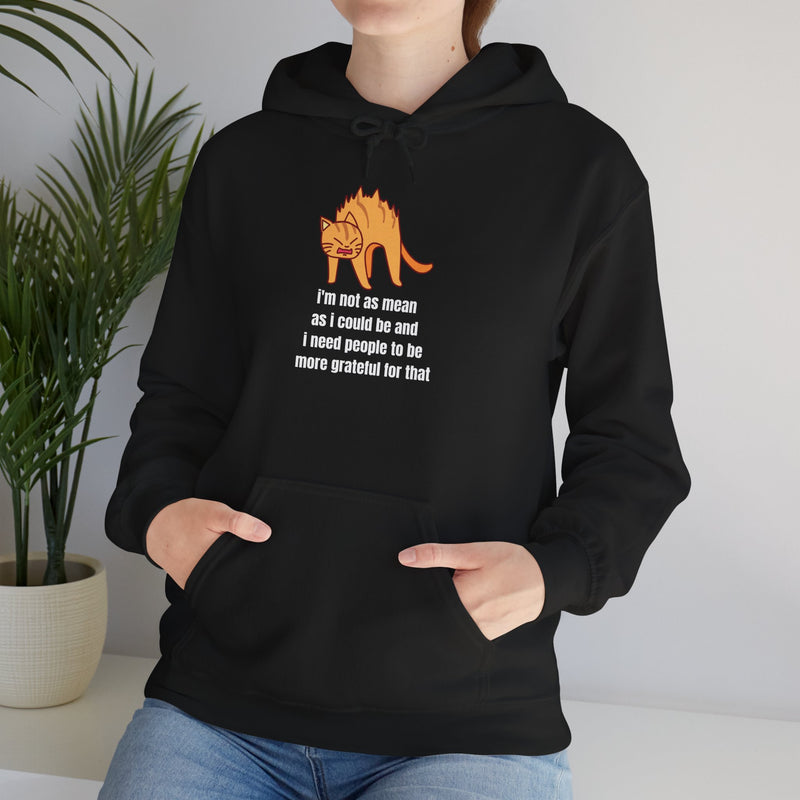 Sassy Cat Hoodie — "I’m not as mean as I could be..." Hooded Sweatshirt