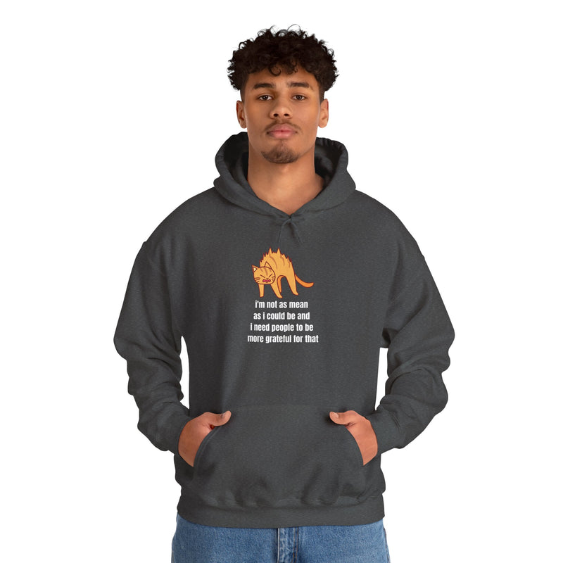 Sassy Cat Hoodie — "I’m not as mean as I could be..." Hooded Sweatshirt