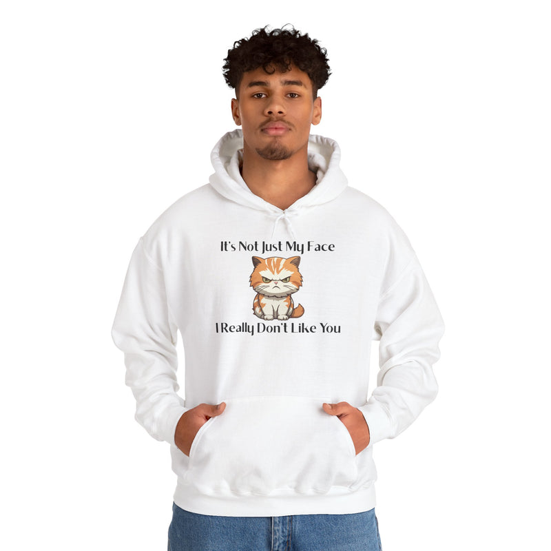 Sassy Cat Hoodie — "It's Not Just My Face, I Really Don't Like You"Graphic Hooded Sweatshirt