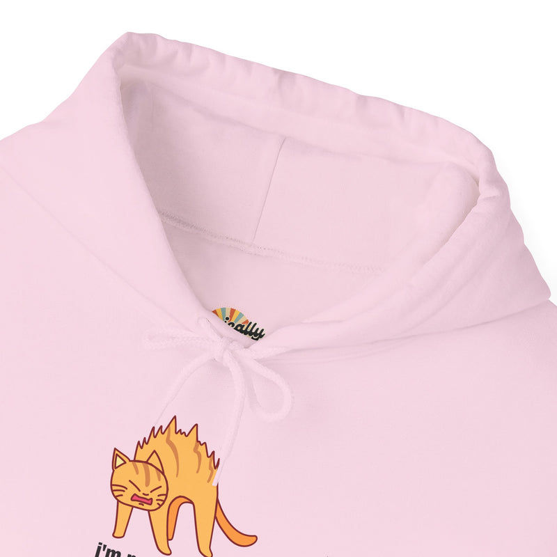 Sassy Cat Hoodie — "I’m not as mean as I could be..." Hooded Sweatshirt