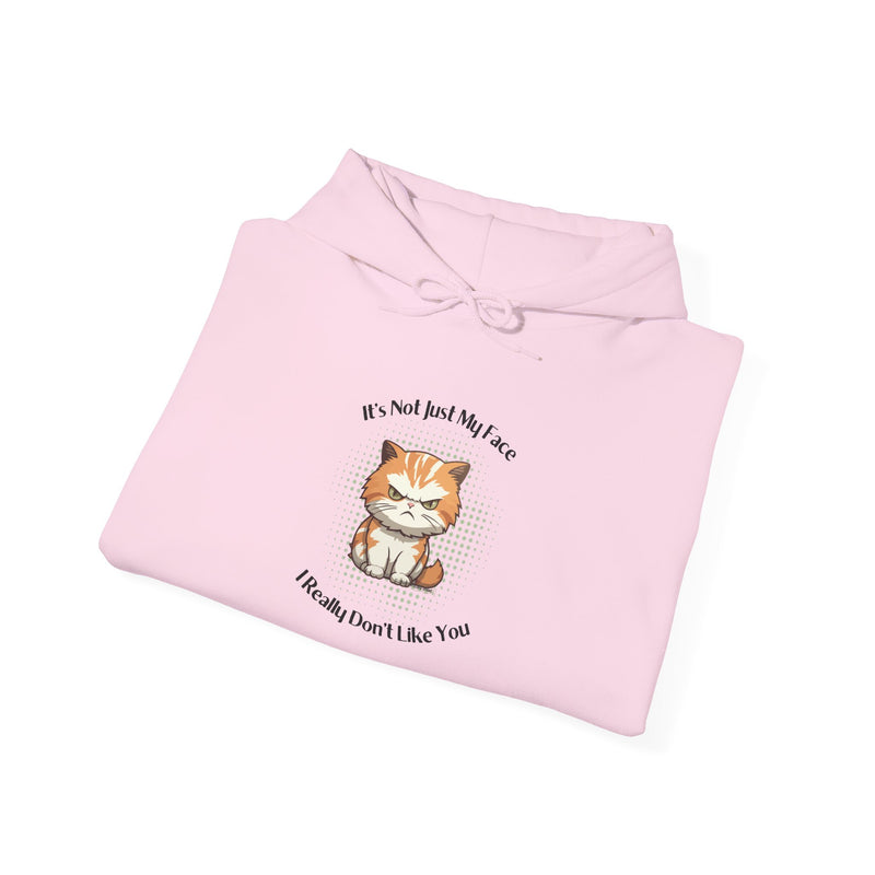 Sassy Cat Hoodie — "It's Not Just My Face, I Really Don't Like You"Graphic Hooded Sweatshirt