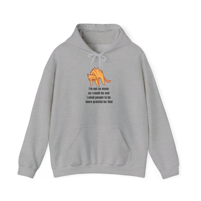 Sassy Cat Hoodie — "I’m not as mean as I could be..." Hooded Sweatshirt