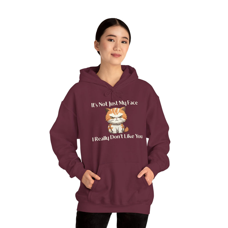 Sassy Cat Hoodie — "It's Not Just My Face, I Really Don't Like You"Graphic Hooded Sweatshirt