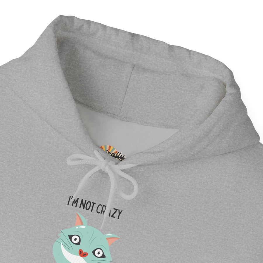 Graphic Hoodie — "I’m Not Crazy, My Reality Is Just Different From Yours" Wonderland Hooded Sweatshirt
