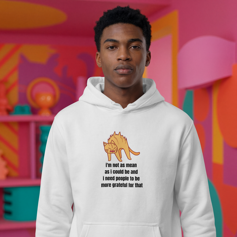 Sassy Cat Hoodie — "I’m not as mean as I could be..." Hooded Sweatshirt