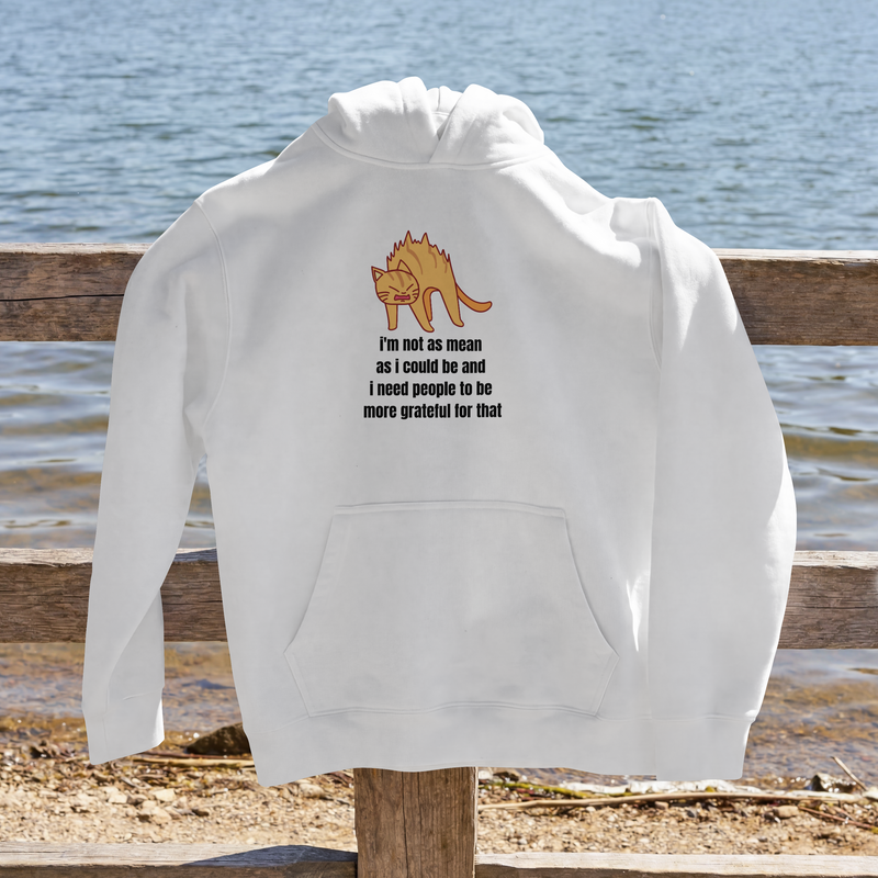 Sassy Cat Hoodie — "I’m not as mean as I could be..." Hooded Sweatshirt