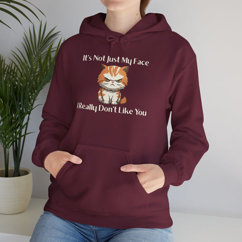 Sassy Cat Hoodie — "It's Not Just My Face, I Really Don't Like You"Graphic Hooded Sweatshirt