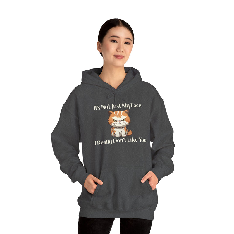 Sassy Cat Hoodie — "It's Not Just My Face, I Really Don't Like You"Graphic Hooded Sweatshirt