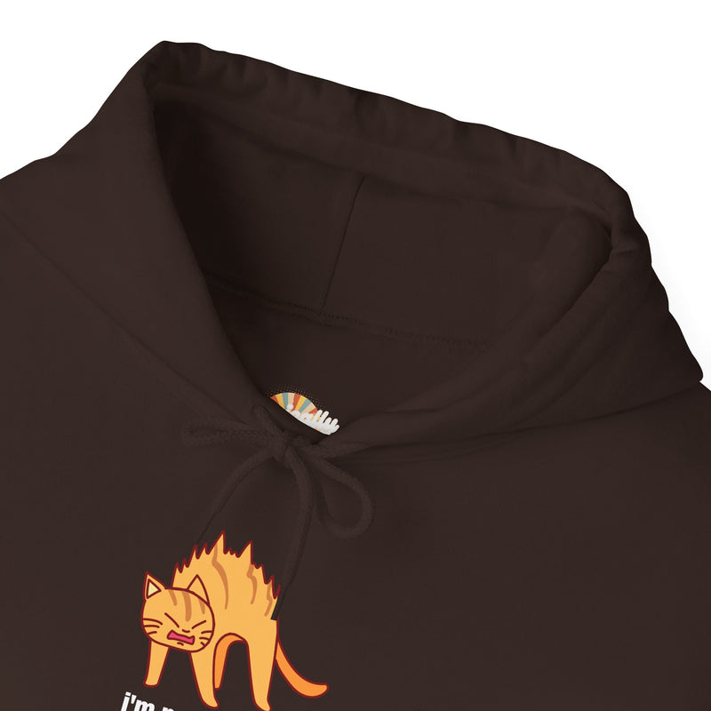 Sassy Cat Hoodie — "I’m not as mean as I could be..." Hooded Sweatshirt