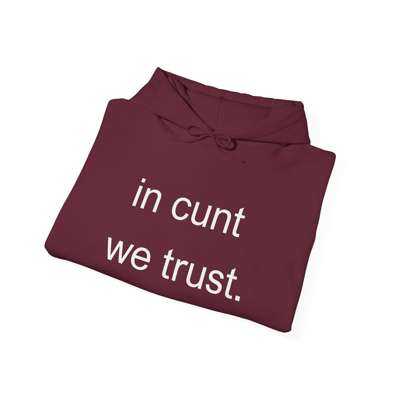 Hoodie — "in cunt we trust." Minimalist Provocative Text Hooded Sweatshirt