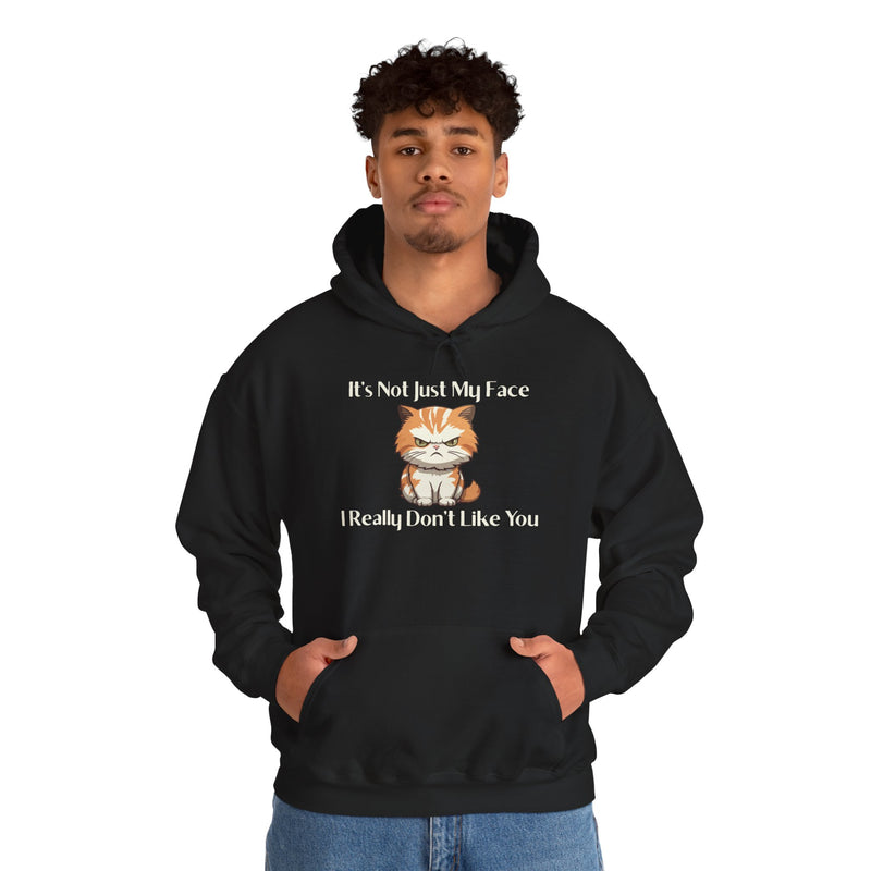 Sassy Cat Hoodie — "It's Not Just My Face, I Really Don't Like You"Graphic Hooded Sweatshirt