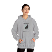 Sassy Cat Hoodie — "...I Am A Fucking Delight!" Graphic Hooded Sweatshirt