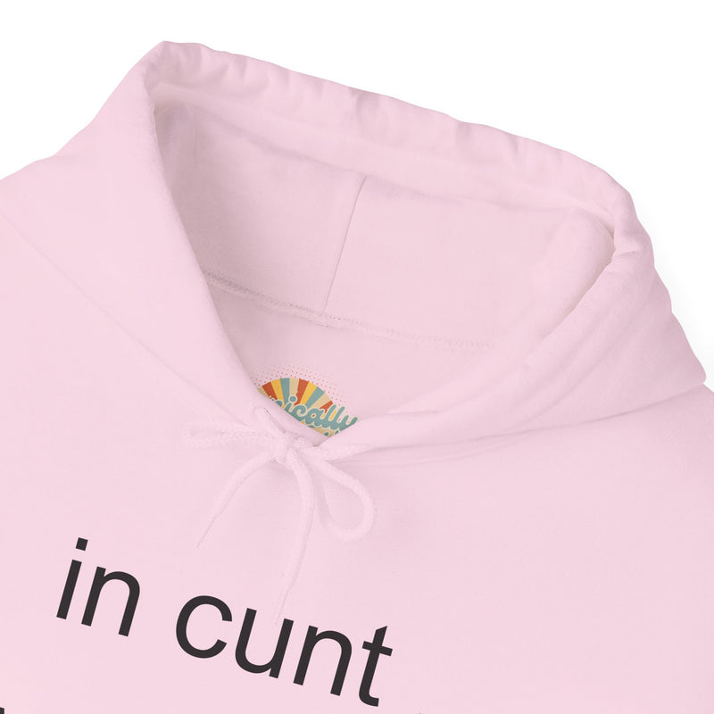 Hoodie — "in cunt we trust." Minimalist Provocative Text Hooded Sweatshirt