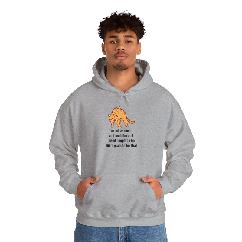 Sassy Cat Hoodie — "I’m not as mean as I could be..." Hooded Sweatshirt
