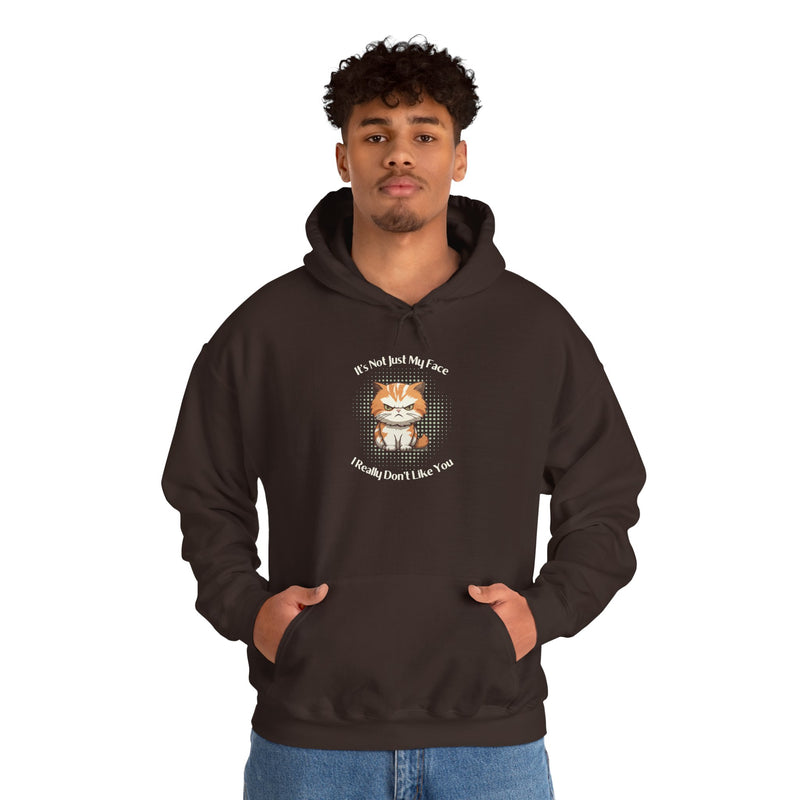 Sassy Cat Hoodie — "It's Not Just My Face, I Really Don't Like You"Graphic Hooded Sweatshirt