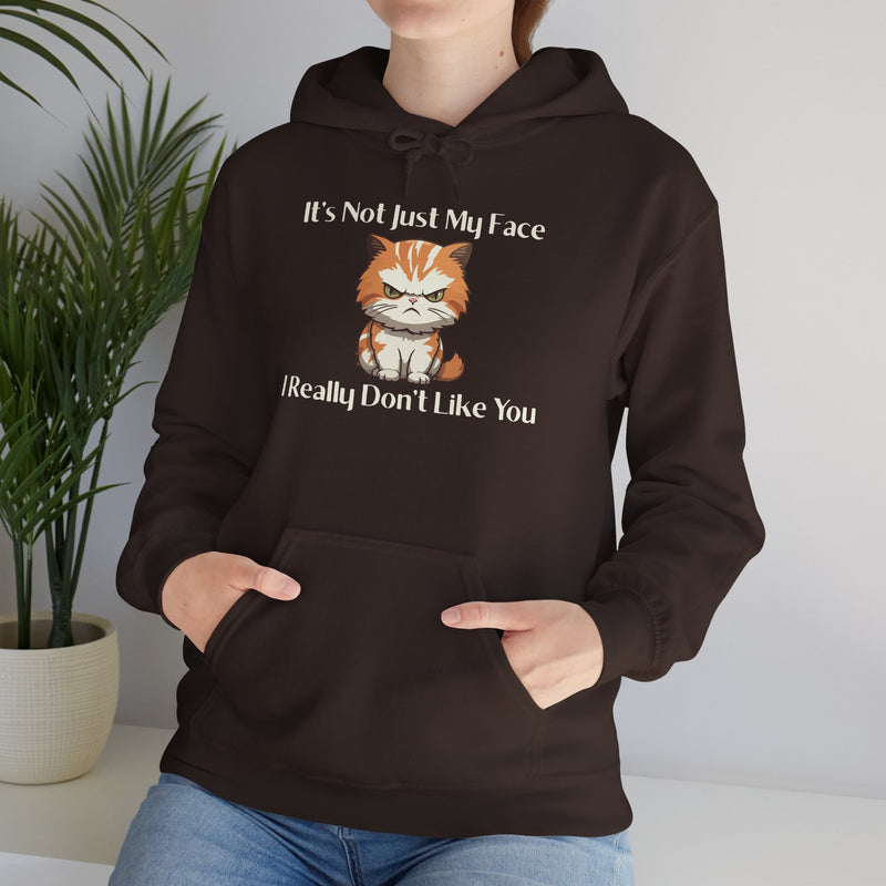 Sassy Cat Hoodie — "It's Not Just My Face, I Really Don't Like You"Graphic Hooded Sweatshirt