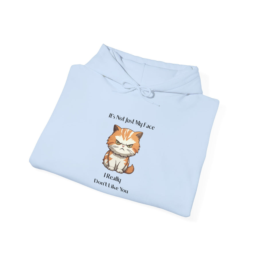 Sassy Cat Hoodie — It's Not Just My Face Graphic Hooded Sweatshirt