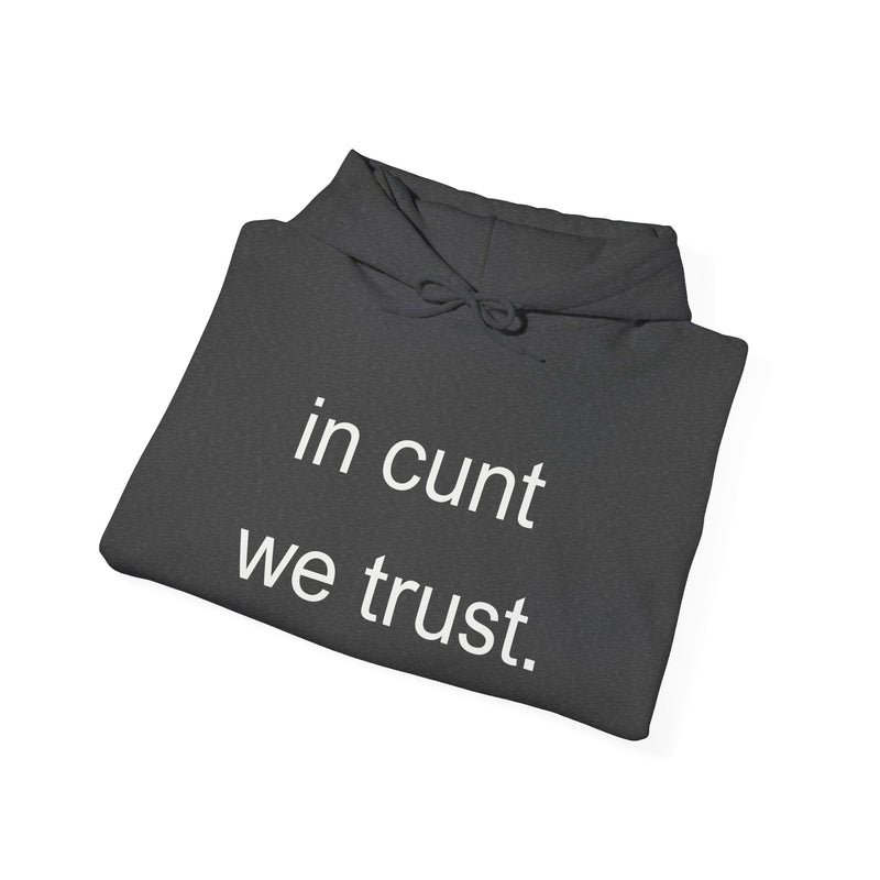 Hoodie — "in cunt we trust." Minimalist Provocative Text Hooded Sweatshirt