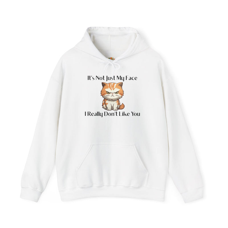 Sassy Cat Hoodie — "It's Not Just My Face, I Really Don't Like You"Graphic Hooded Sweatshirt