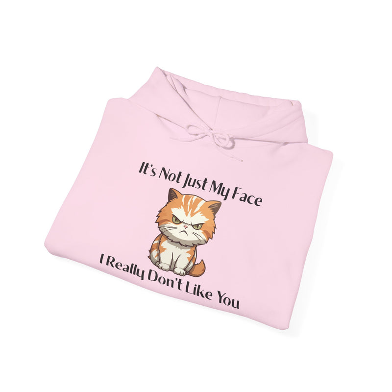Sassy Cat Hoodie — "It's Not Just My Face, I Really Don't Like You"Graphic Hooded Sweatshirt