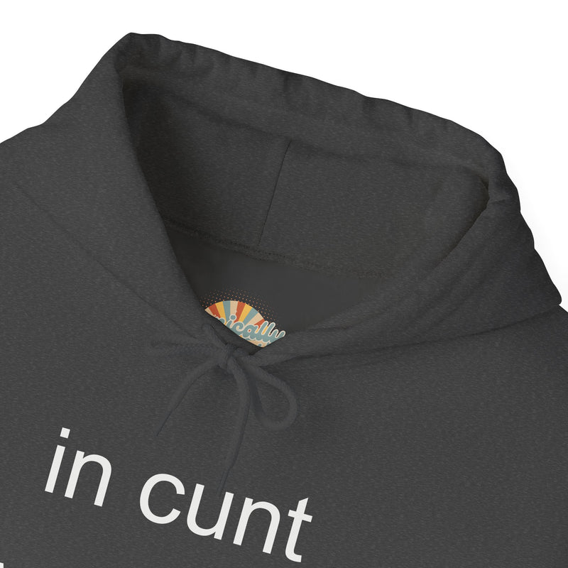 Hoodie — "in cunt we trust." Minimalist Provocative Text Hooded Sweatshirt