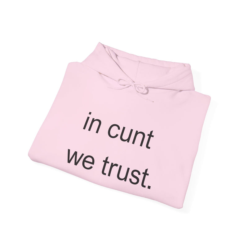 Hoodie — "in cunt we trust." Minimalist Provocative Text Hooded Sweatshirt