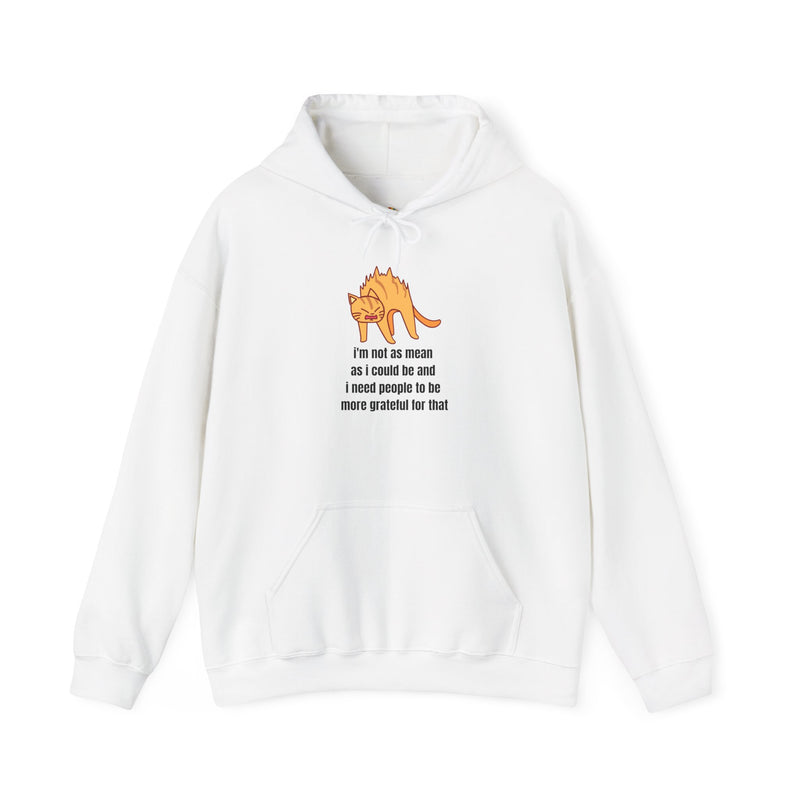 Sassy Cat Hoodie — "I’m not as mean as I could be..." Hooded Sweatshirt