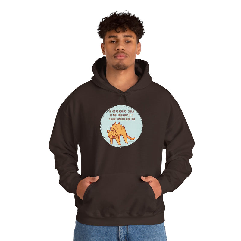 Sassy Cat Hoodie — "I’m not as mean as I could be..." Hooded Sweatshirt