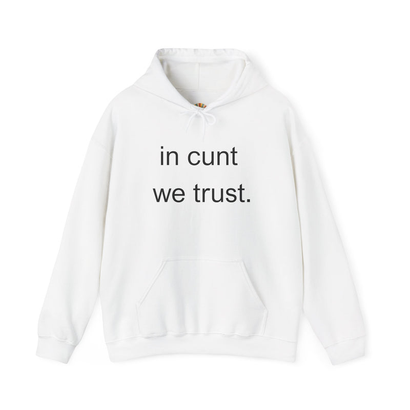 Hoodie — "in cunt we trust." Minimalist Provocative Text Hooded Sweatshirt