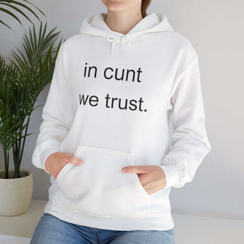 Hoodie — "in cunt we trust." Minimalist Provocative Text Hooded Sweatshirt