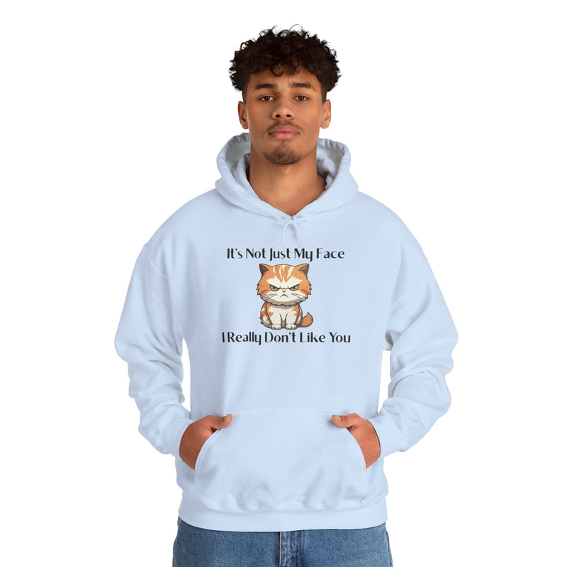 Sassy Cat Hoodie — "It's Not Just My Face, I Really Don't Like You"Graphic Hooded Sweatshirt