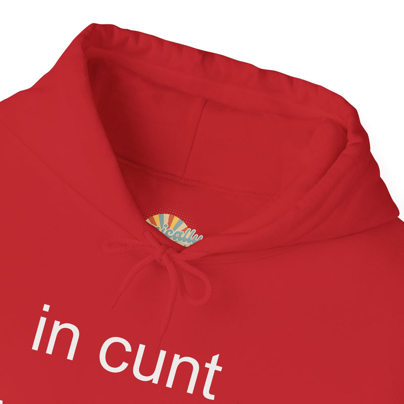 Hoodie — "in cunt we trust." Minimalist Provocative Text Hooded Sweatshirt