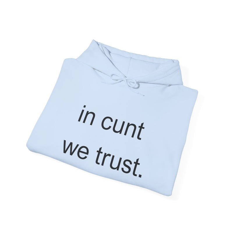 Hoodie — "in cunt we trust." Minimalist Provocative Text Hooded Sweatshirt