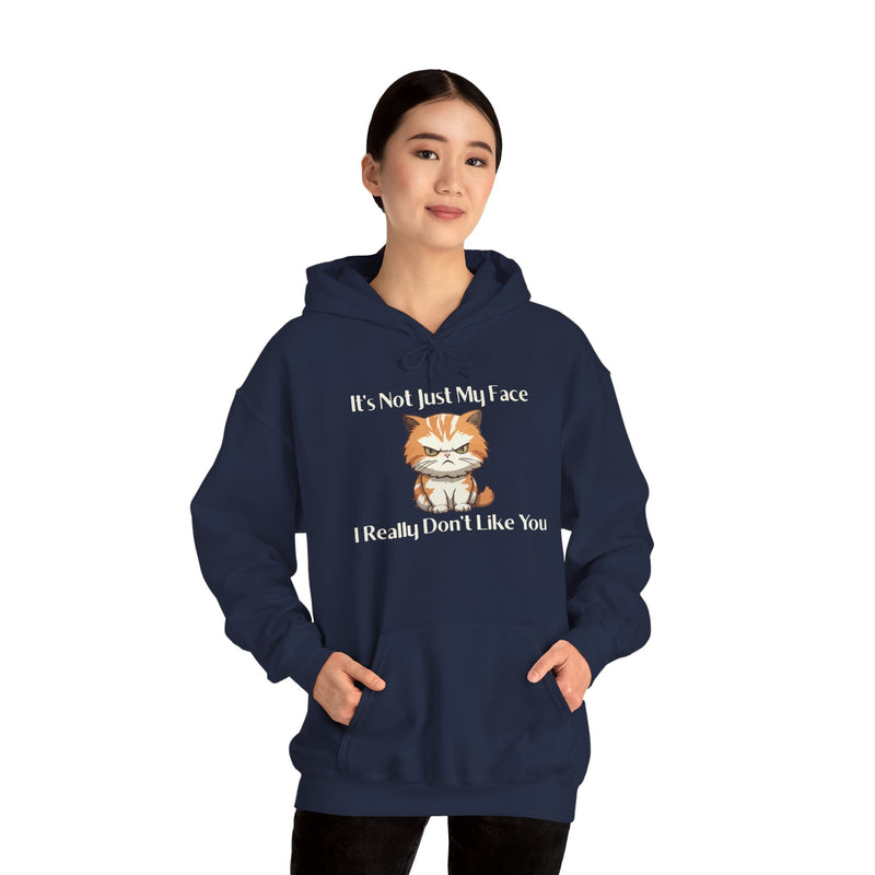 Sassy Cat Hoodie — "It's Not Just My Face, I Really Don't Like You"Graphic Hooded Sweatshirt